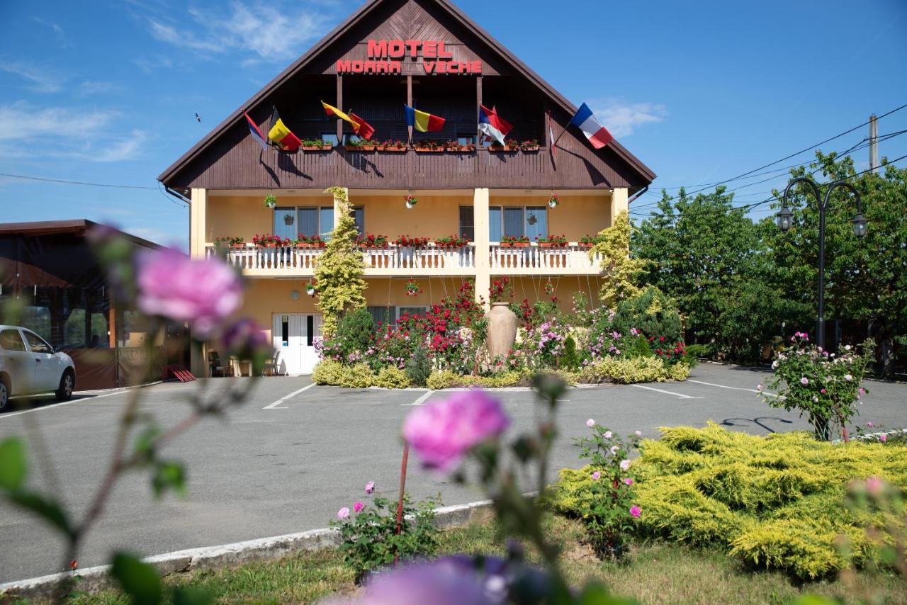 Motel Moara Veche Sacalaseni Exterior photo