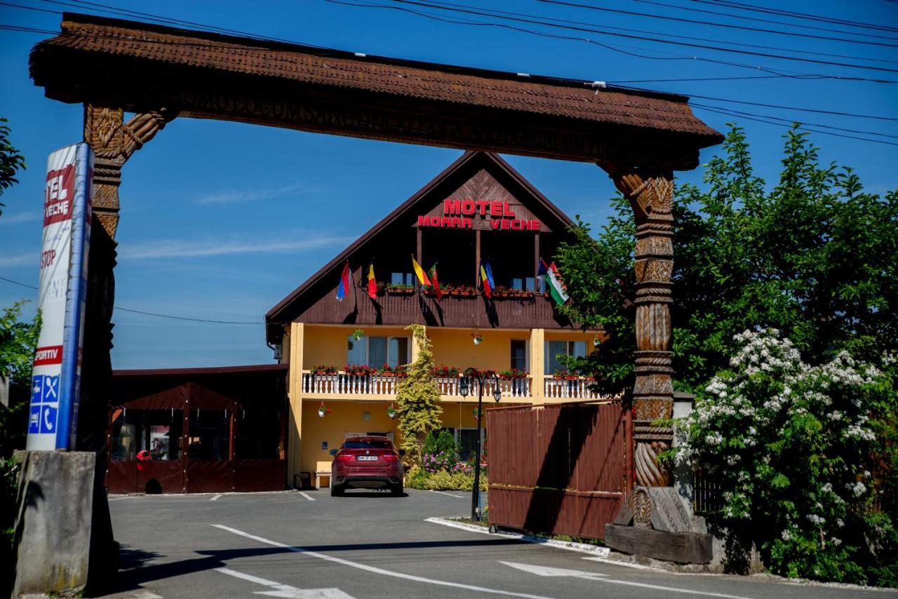Motel Moara Veche Sacalaseni Exterior photo
