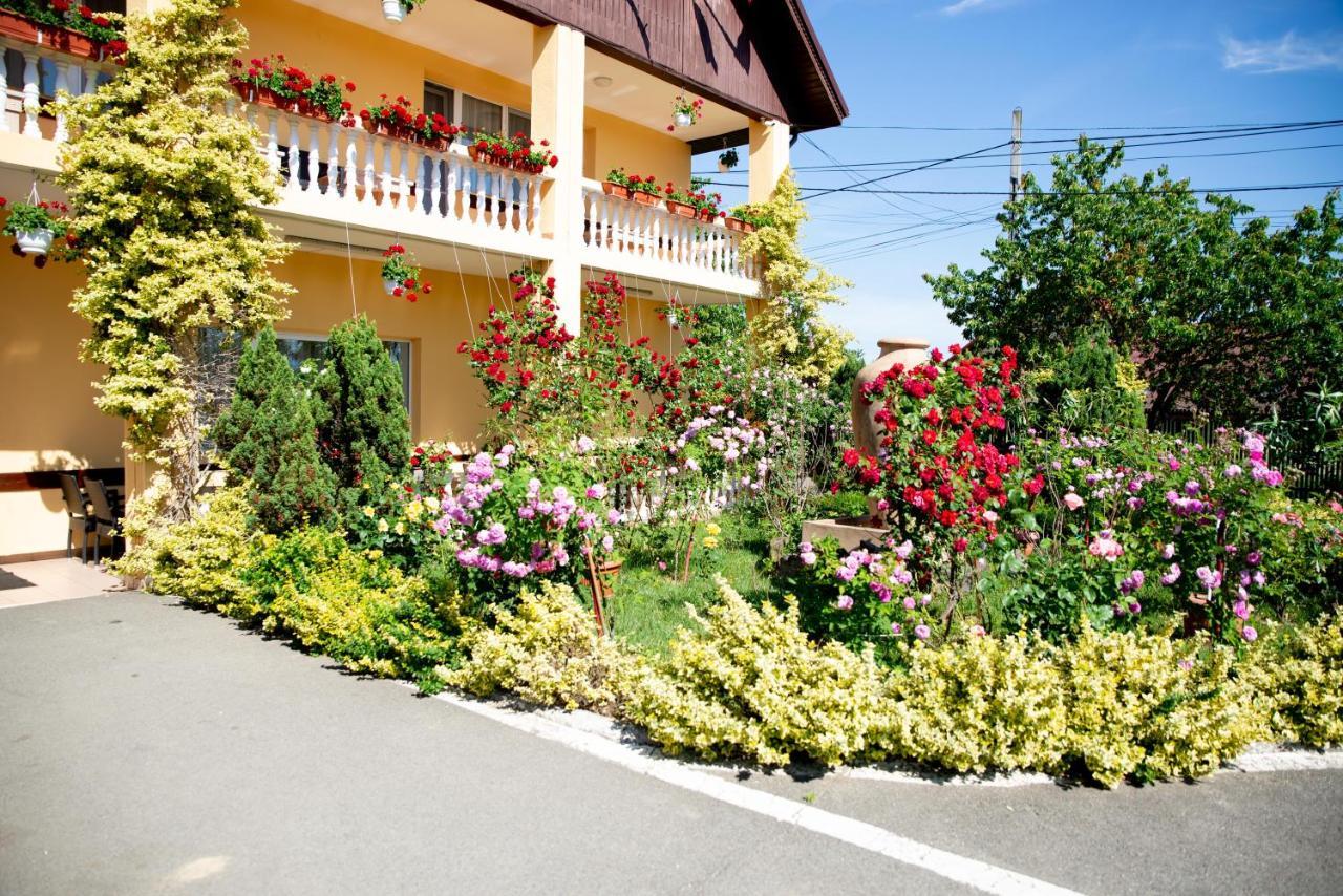 Motel Moara Veche Sacalaseni Exterior photo